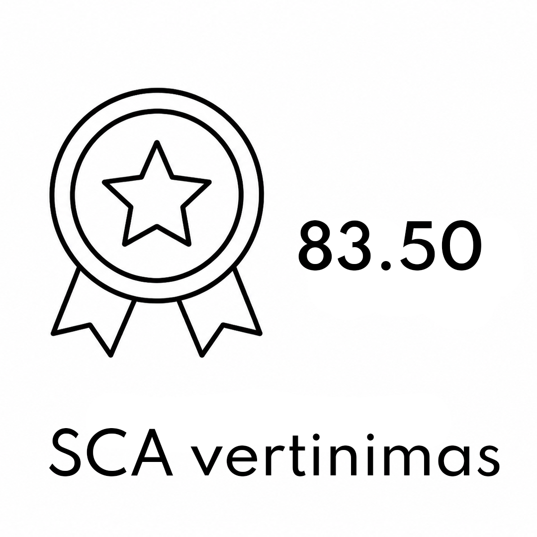 SCA vertinimas